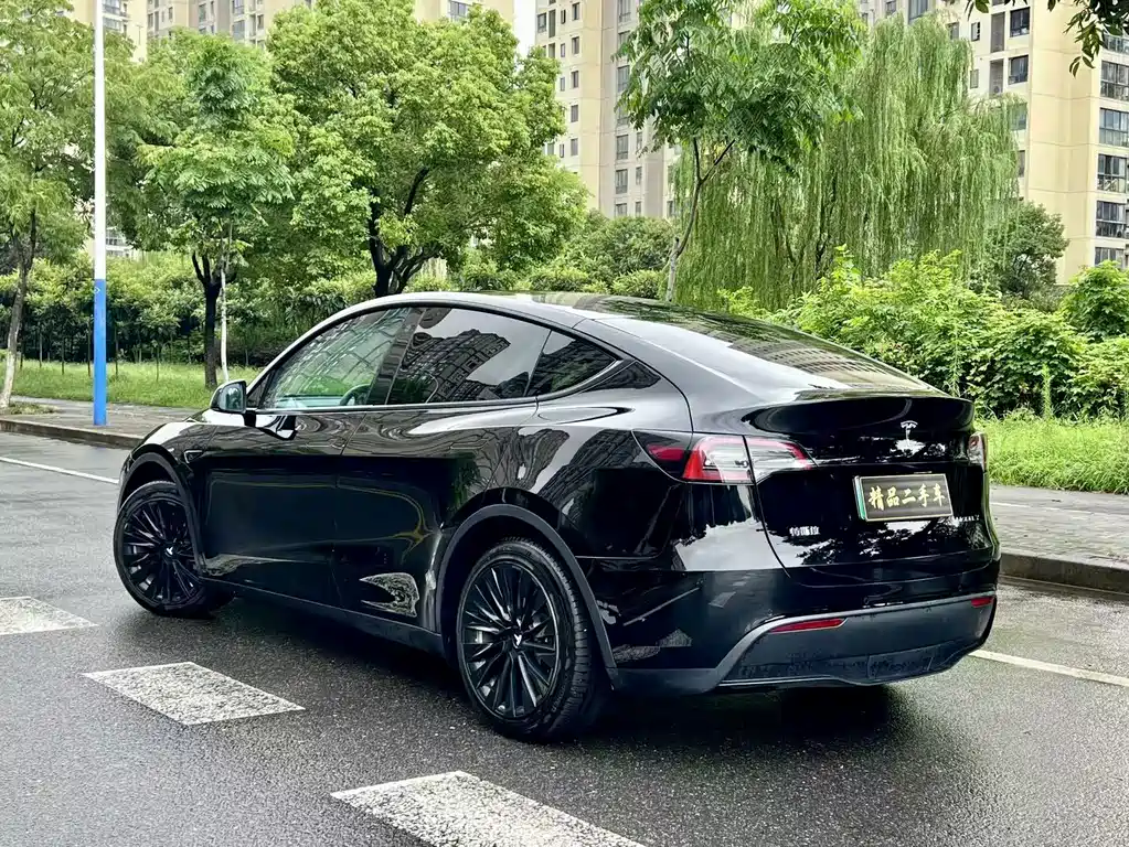 Tesla Model Y — миниатюра 7
