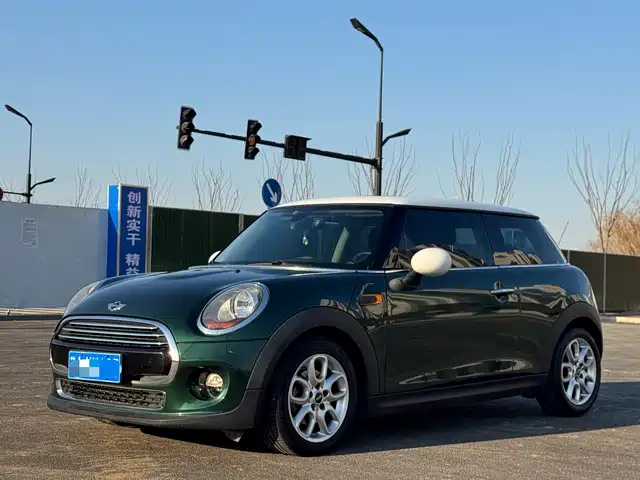 mini 