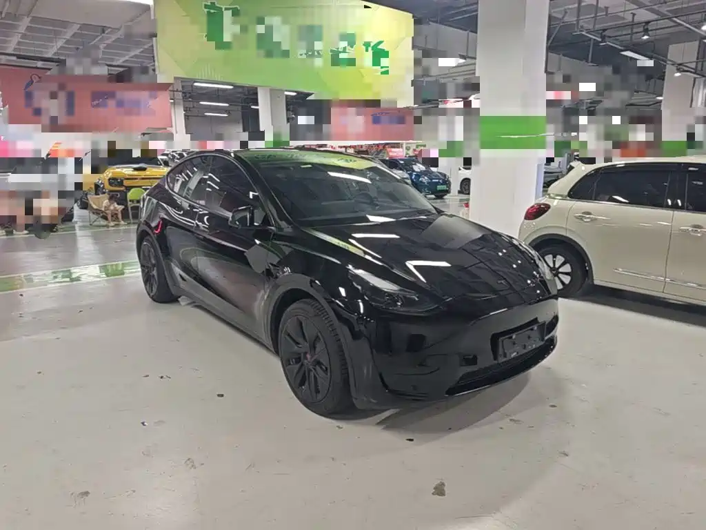 Tesla Model Y — миниатюра 4