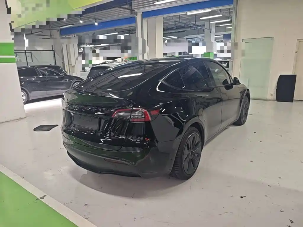 Tesla Model Y — миниатюра 7