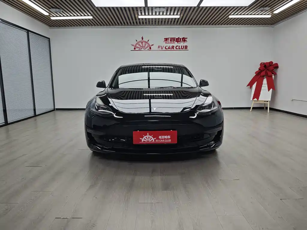 Tesla Model 3 — миниатюра 3