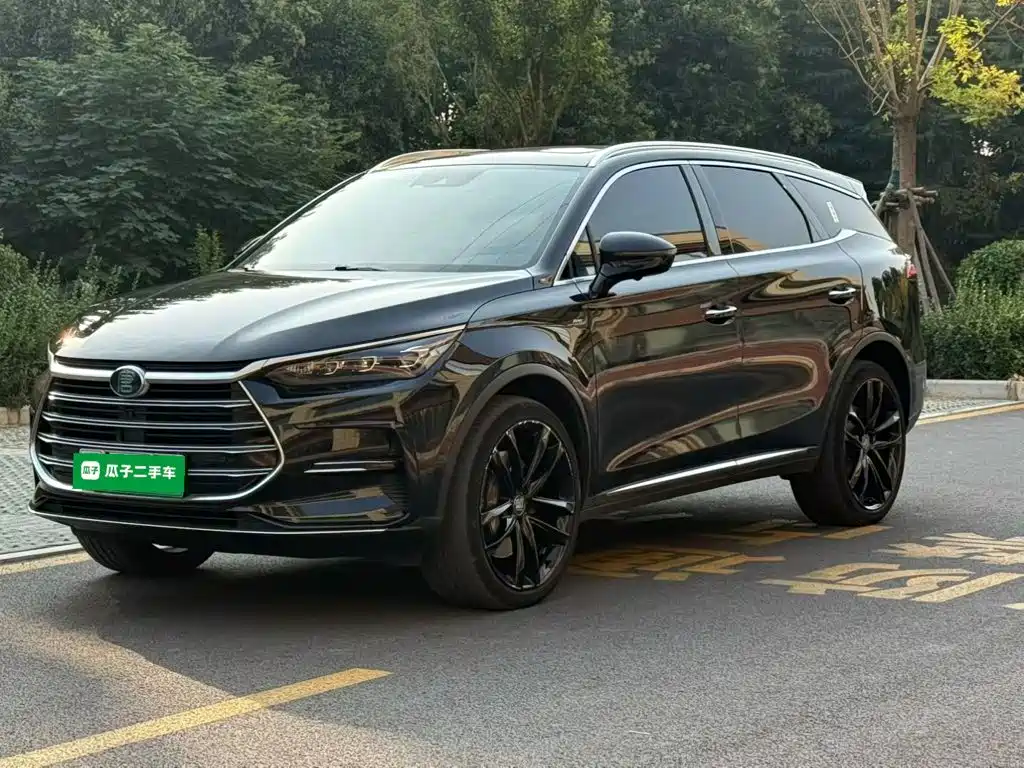 BYD Tang New Energy — миниатюра 2
