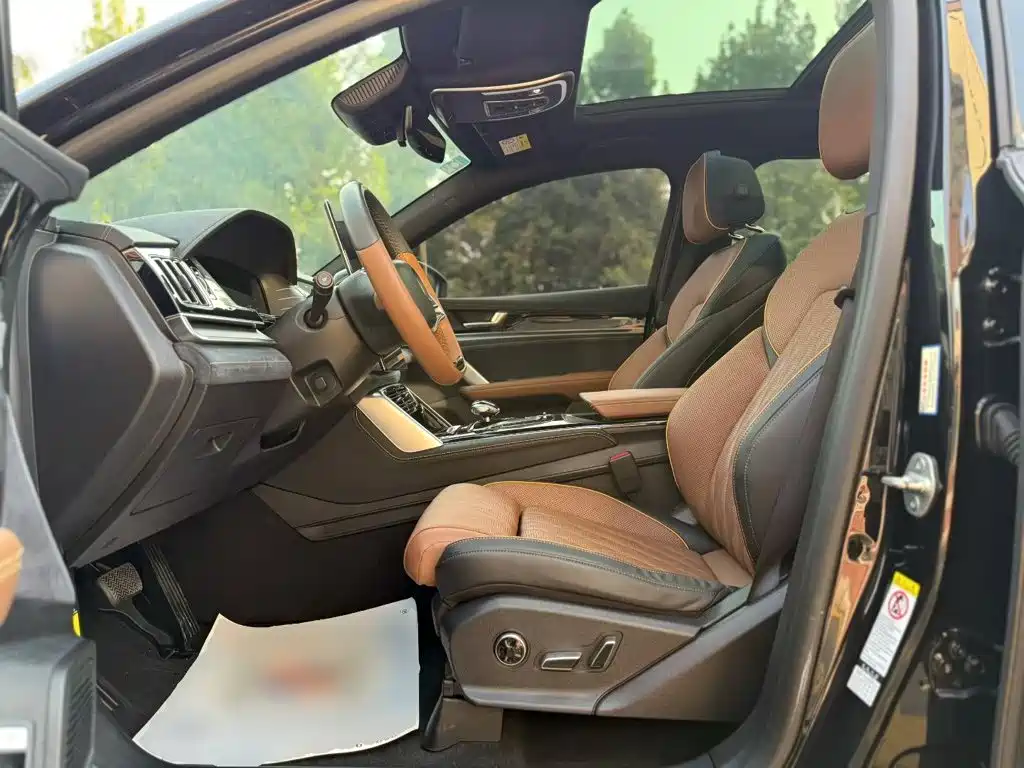 BYD Tang New Energy — миниатюра 15