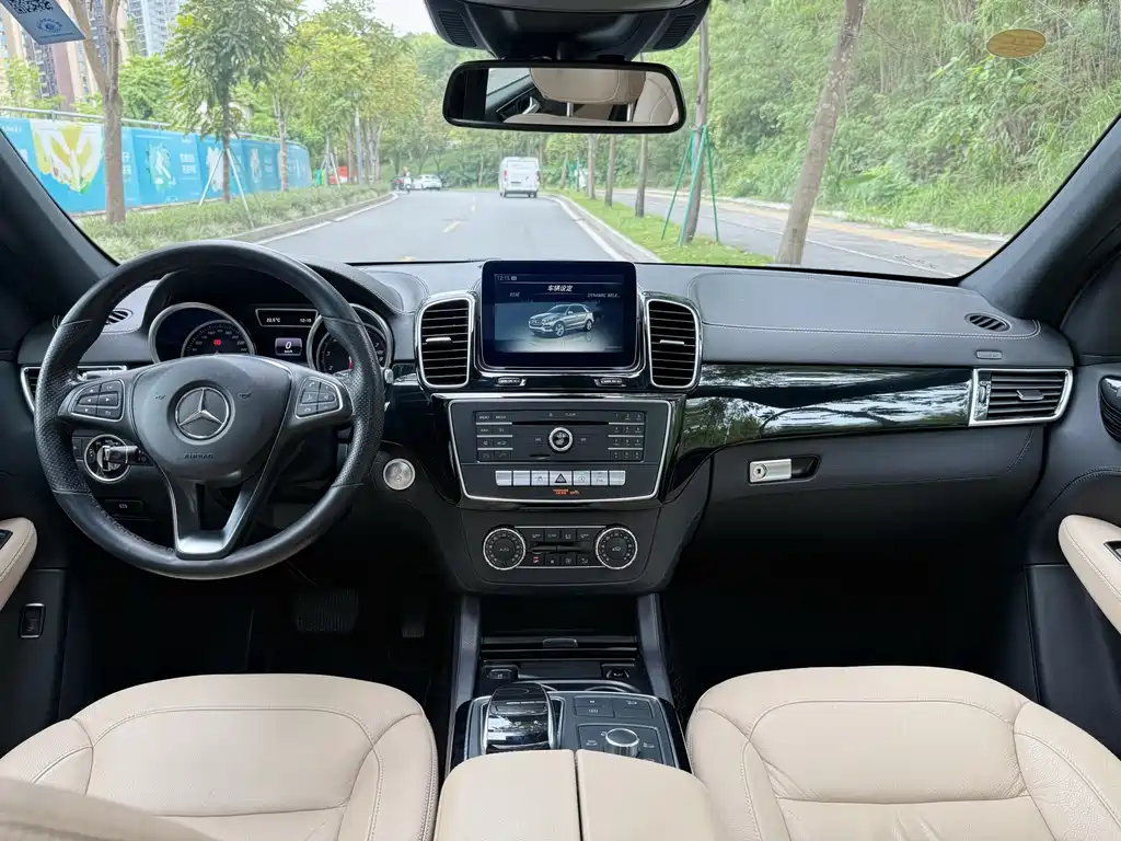 Mercedes-Benz GLE (Import) — миниатюра 5