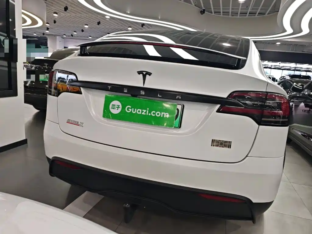 Tesla Model X — миниатюра 6