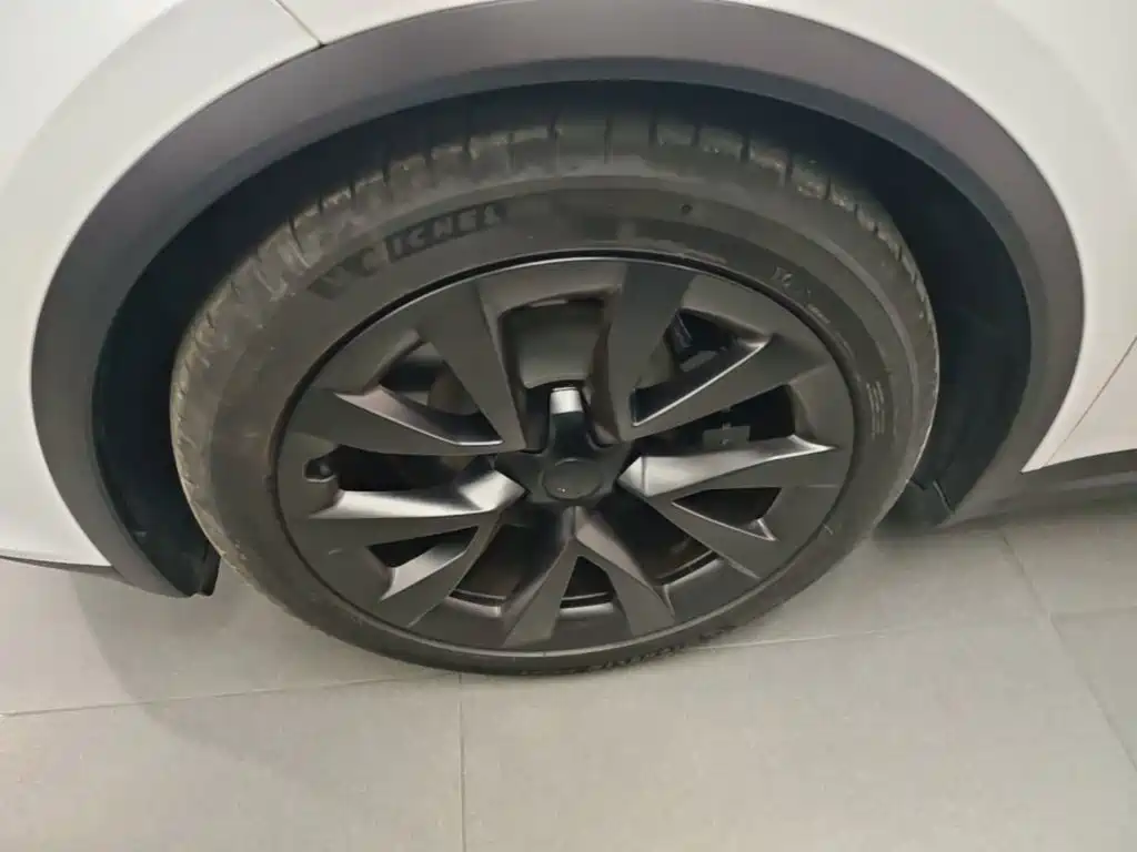 Tesla Model X — миниатюра 23