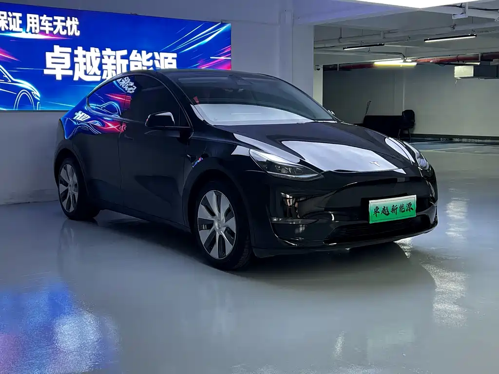 Tesla Model Y — миниатюра 3
