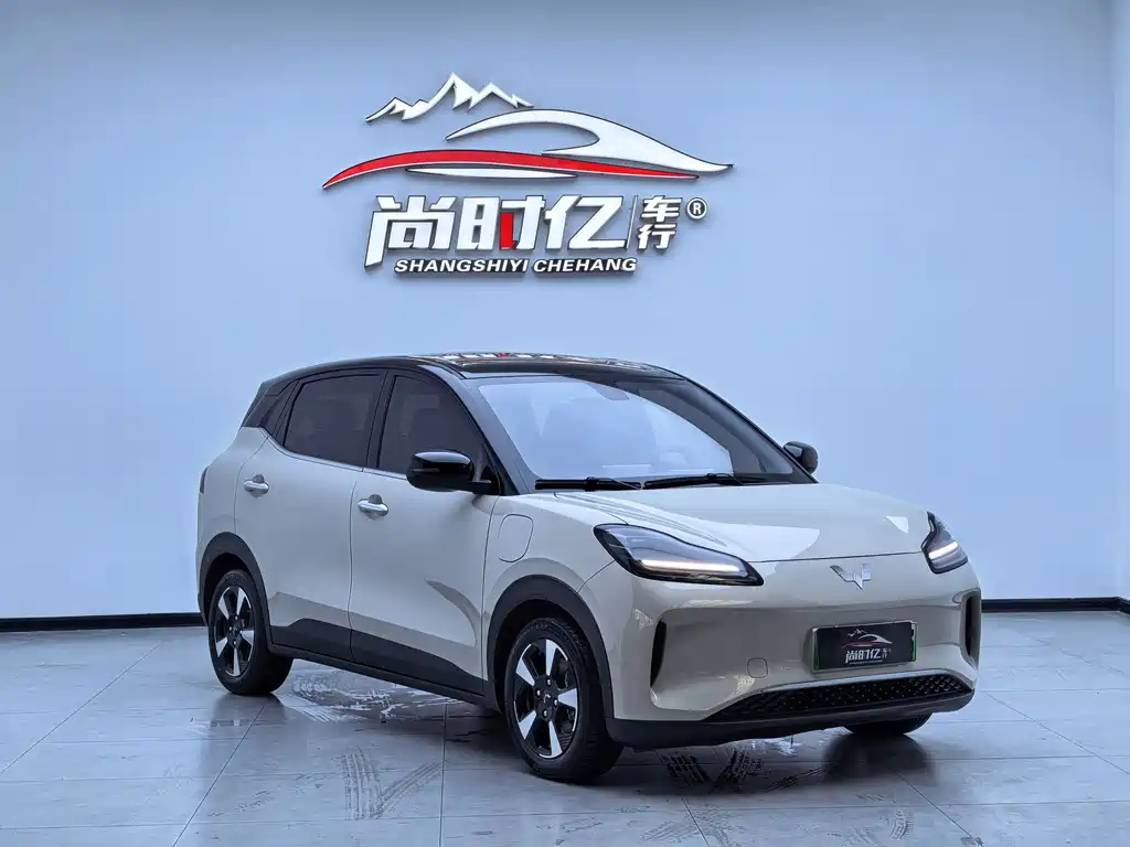 Wuling BinguoPLUS PLUS 2024 401km мест