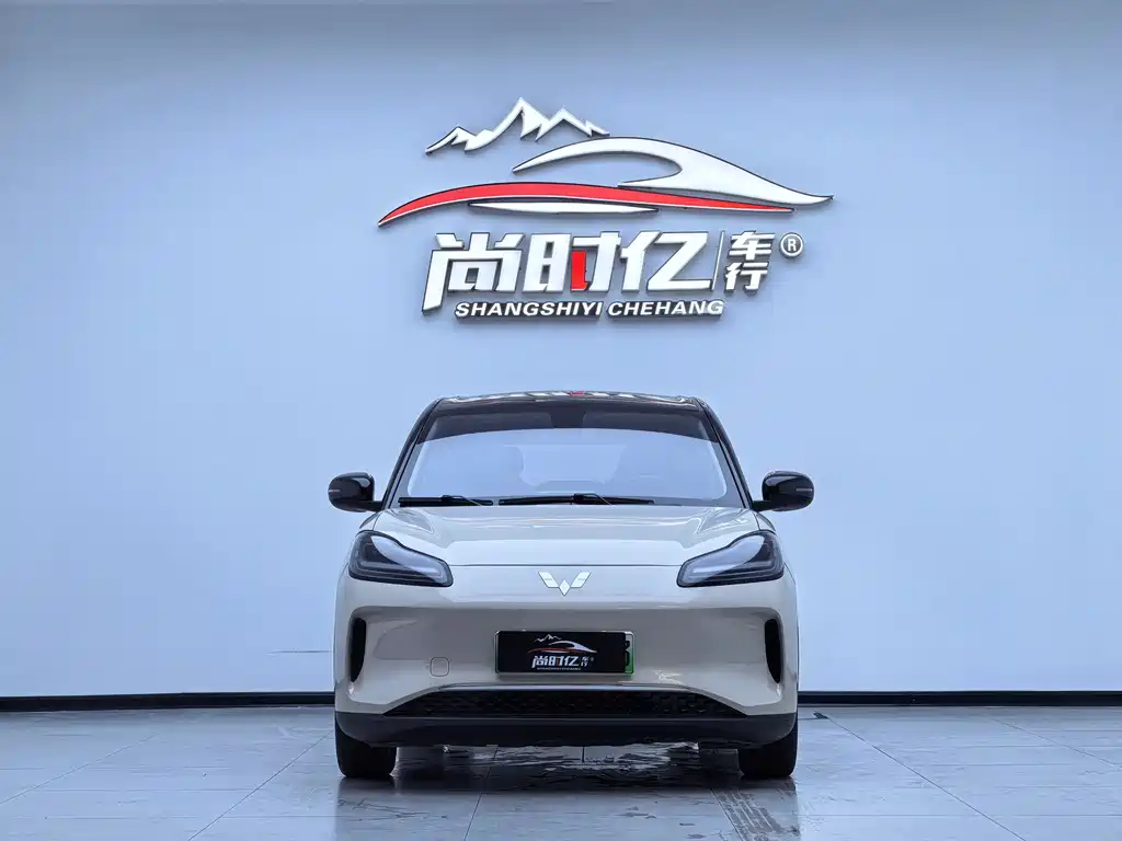 Wuling BinguoPLUS PLUS 2024 401km мест