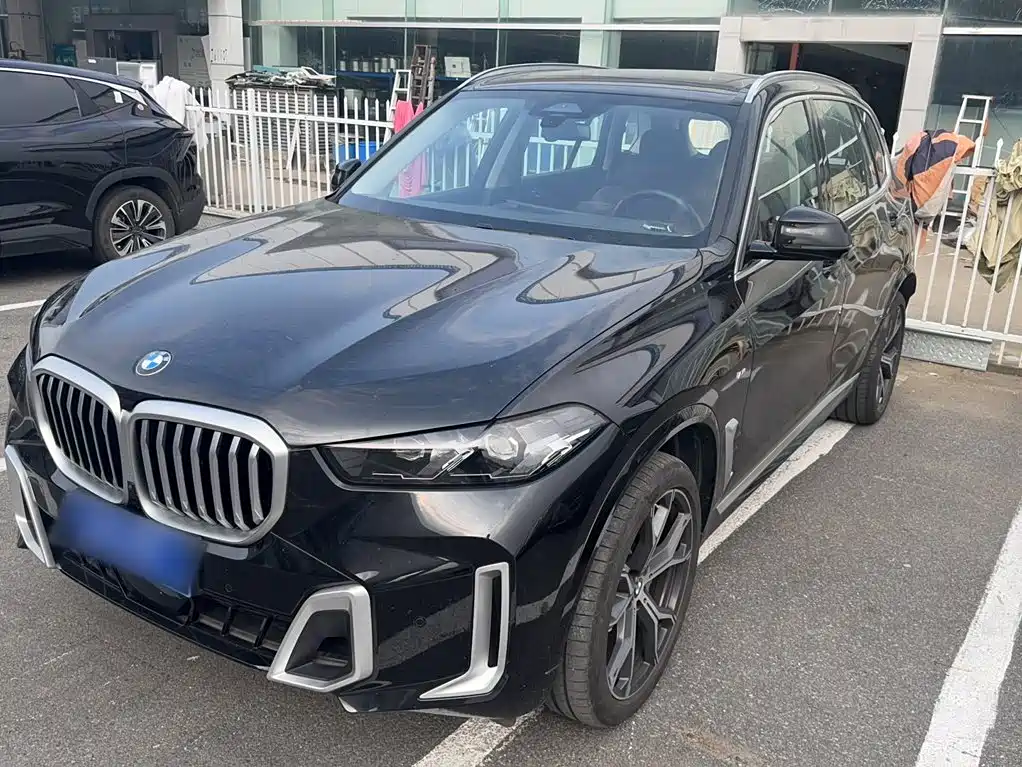 BMW X5 — миниатюра 2