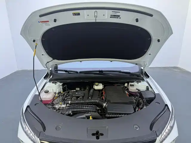 BYD Qin PLUS — миниатюра 14