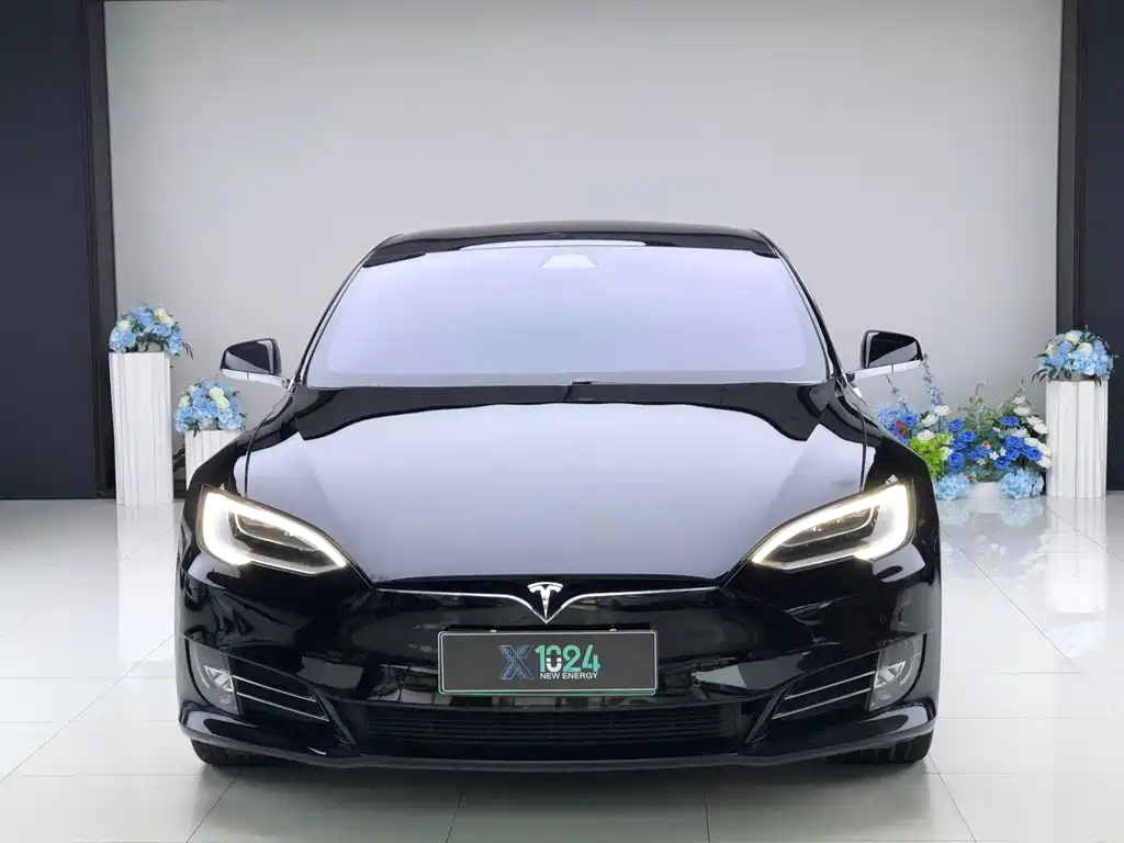 Tesla Model S — миниатюра 2