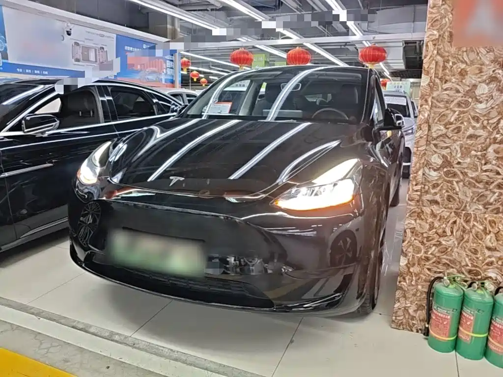 Tesla Model Y — миниатюра 2