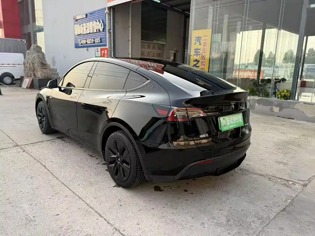 Tesla Model Y — миниатюра 7