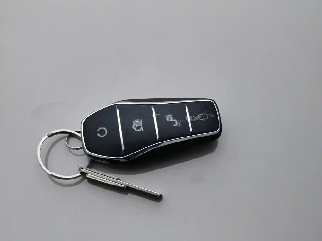 BYD PLUS New Energy — миниатюра 19