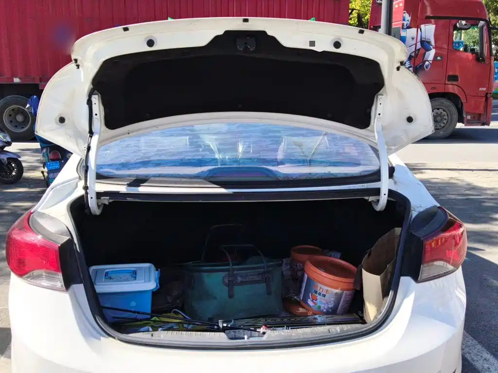 Hyundai Elantra Langdong — миниатюра 20