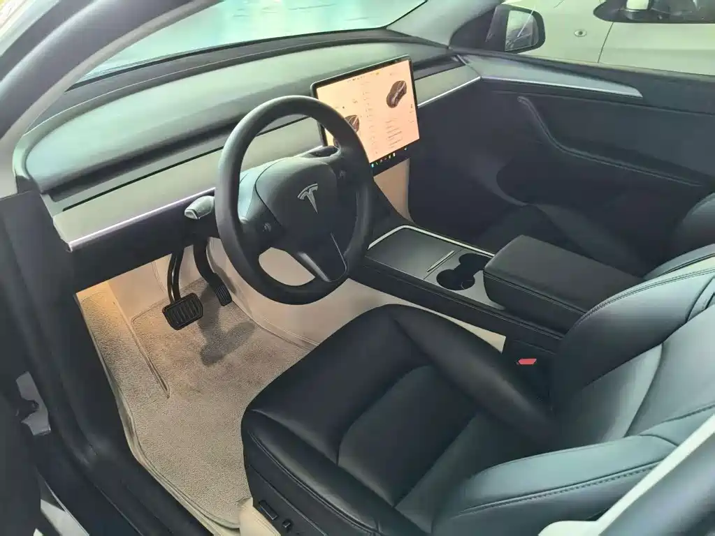 Tesla Model Y — миниатюра 4