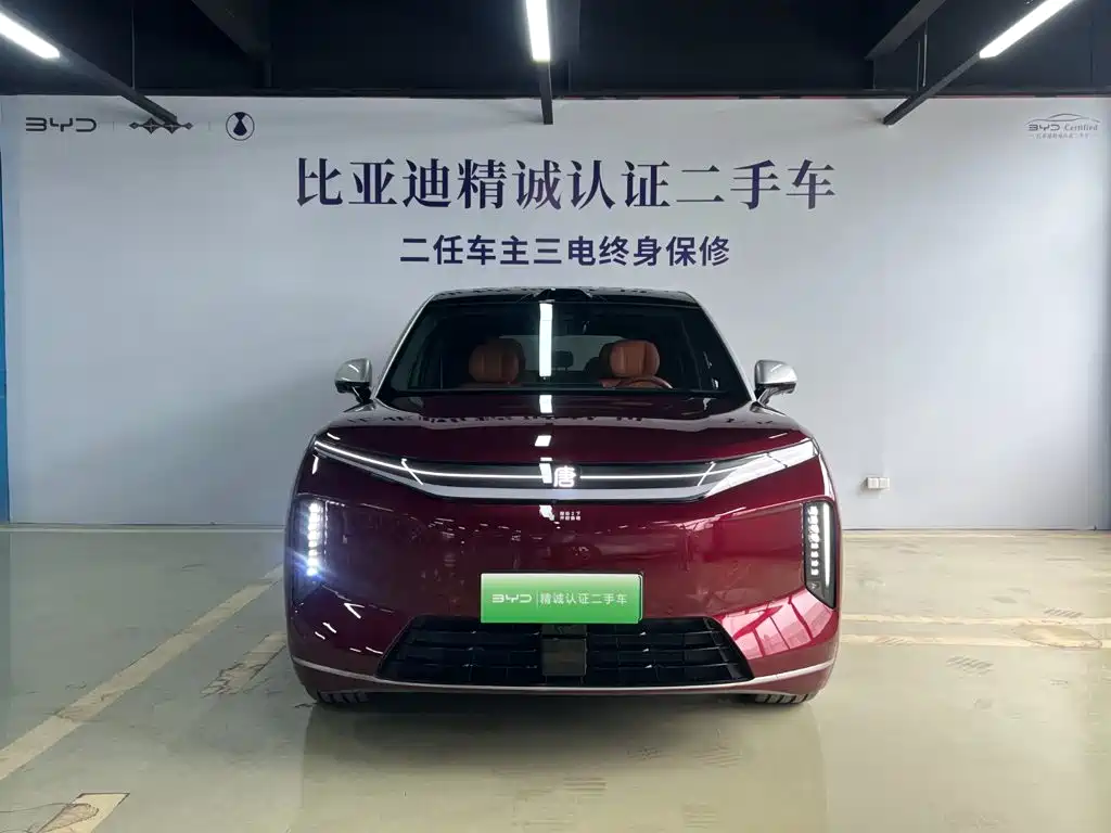 BYD Datang — миниатюра 2