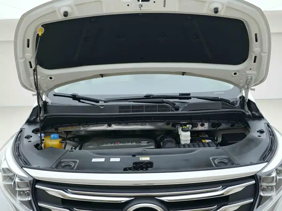 GAC Motor Trumpchi M8 — миниатюра 6