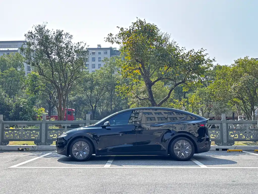 Tesla Model Y L — миниатюра 3