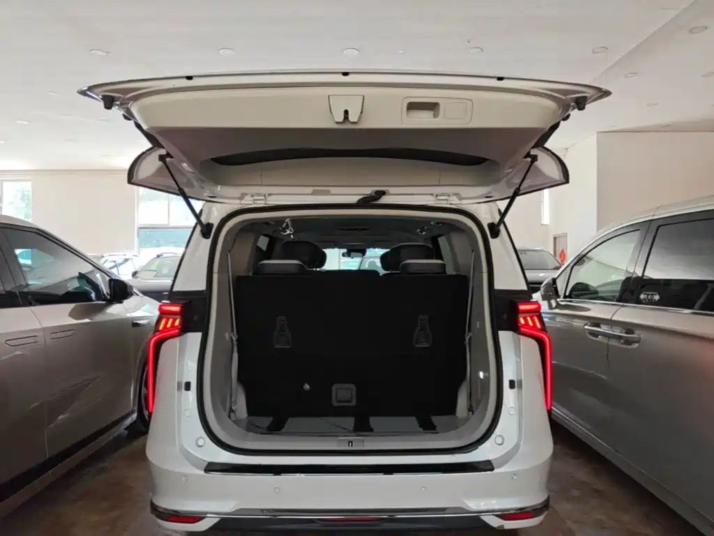 MAXUS Dajia 9 — миниатюра 19