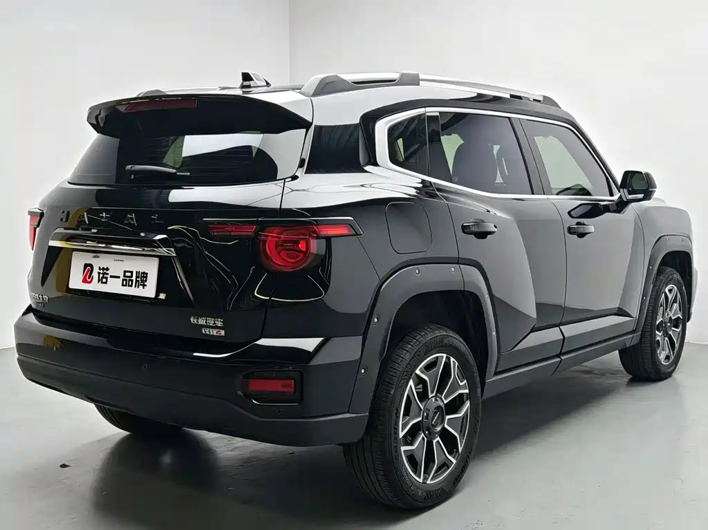 Haval Big Dog PLUS New Energy — миниатюра 4