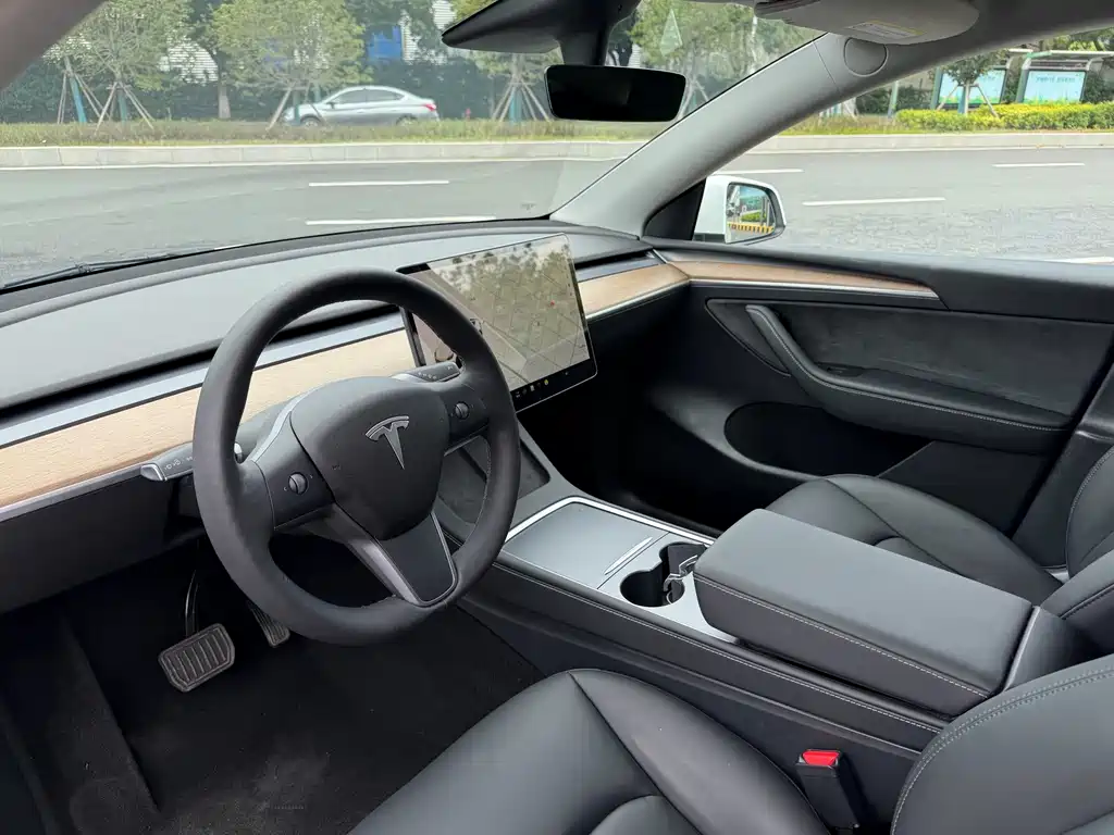 Tesla Model Y — миниатюра 5