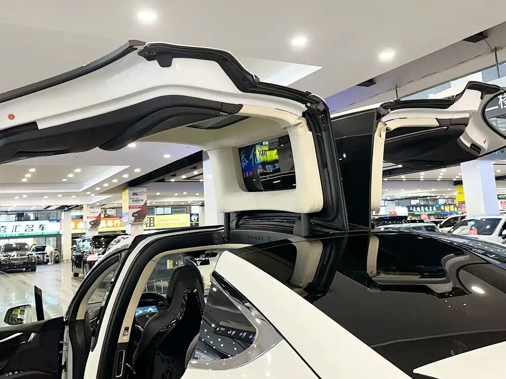 Tesla Model X — миниатюра 16