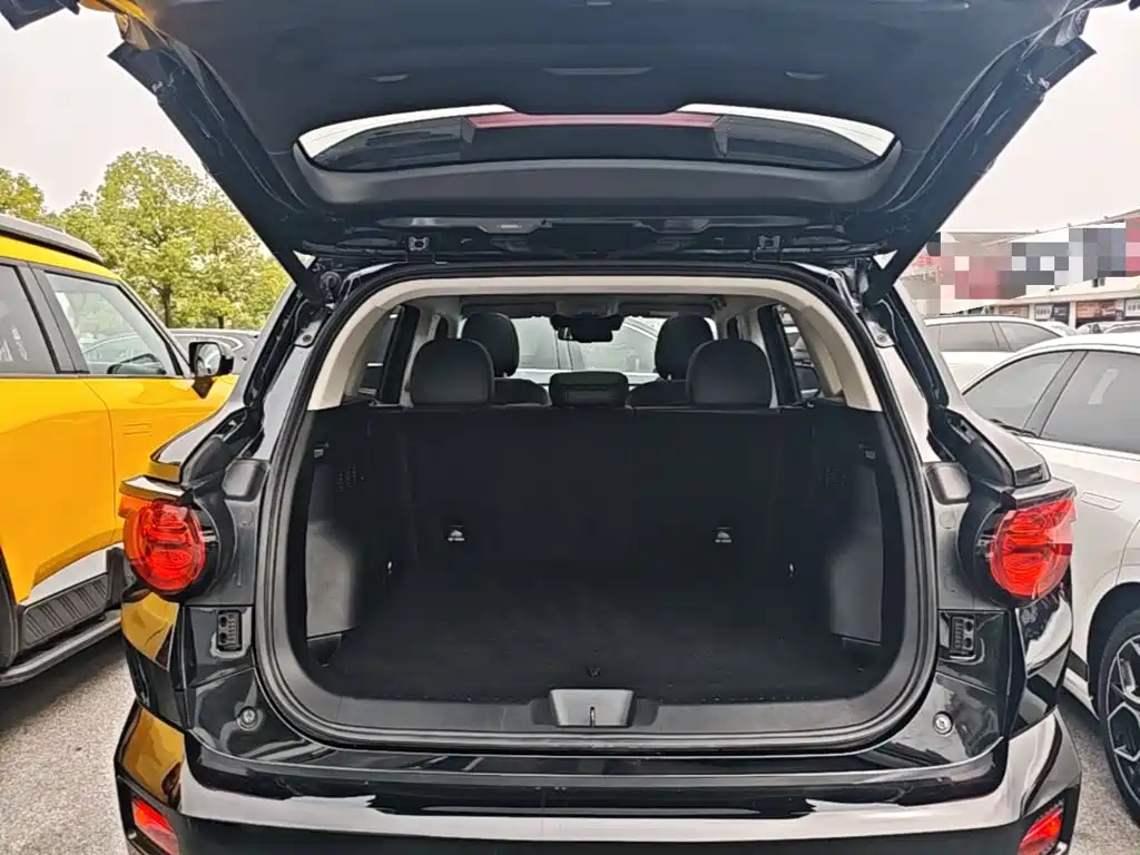 Haval Big Dog PLUS New Energy — миниатюра 19