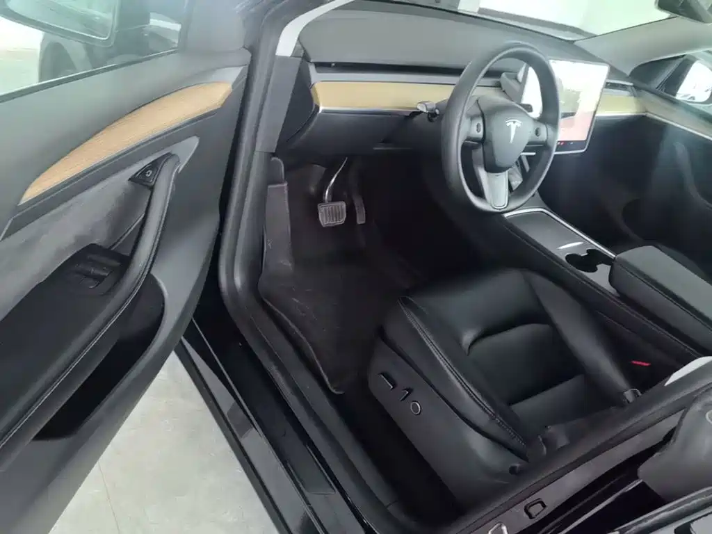 Tesla Model Y — миниатюра 15