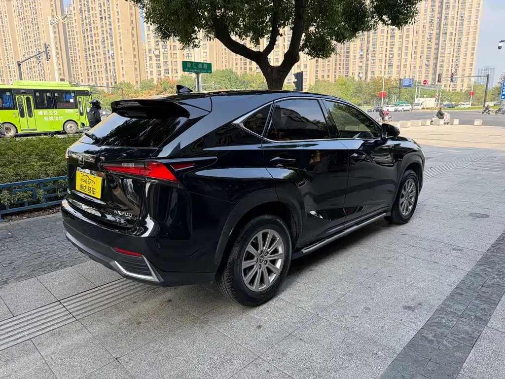 Lexus NX — миниатюра 10
