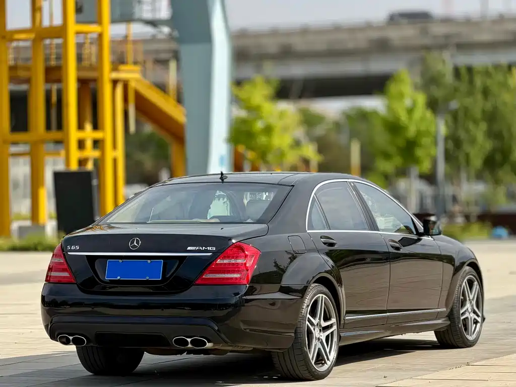 Mercedes-Benz S-Class A MG S AMG 2010 AMG S 65