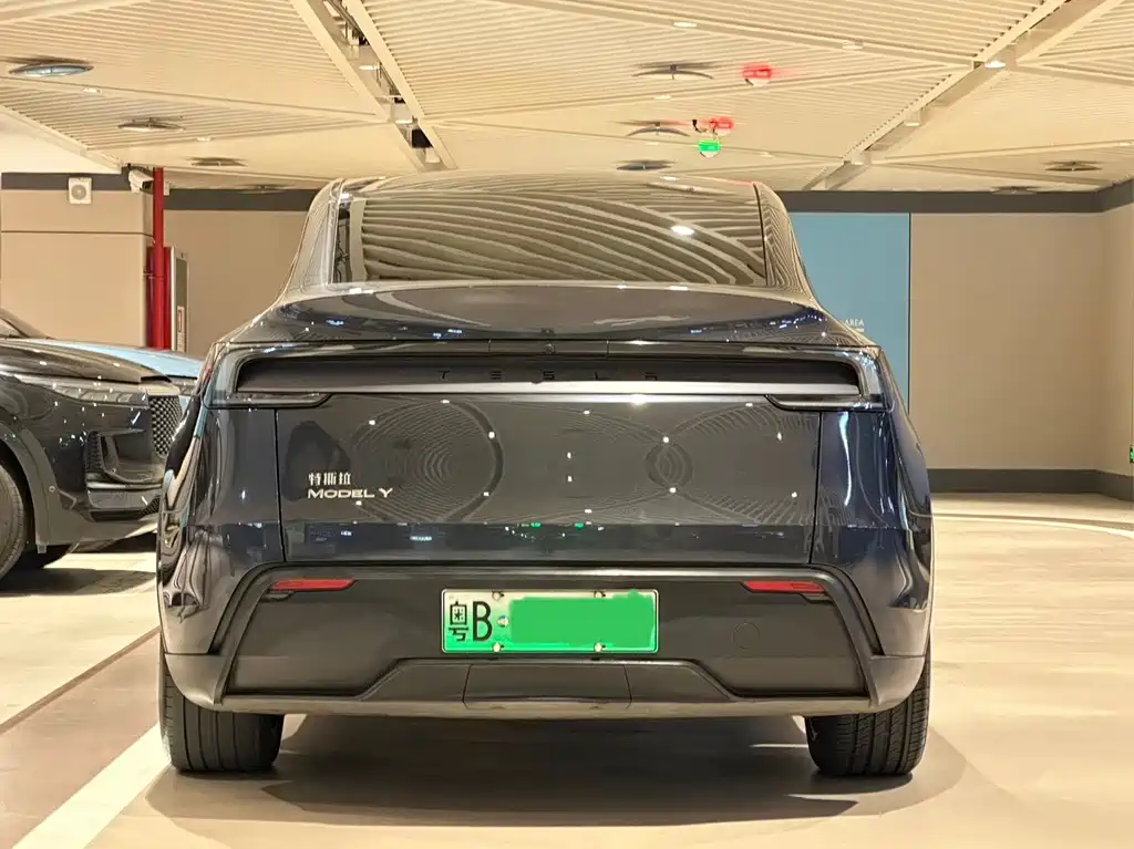 Tesla Model Y — миниатюра 6