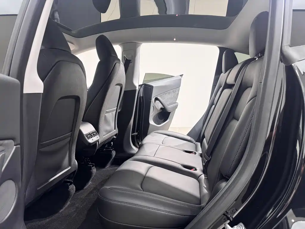 Tesla Model Y — миниатюра 10