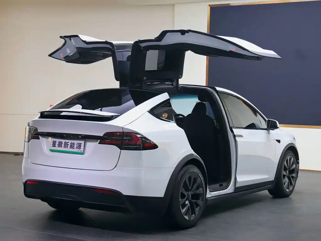 Tesla Model X — миниатюра 21