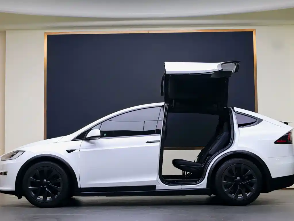 Tesla Model X — миниатюра 20