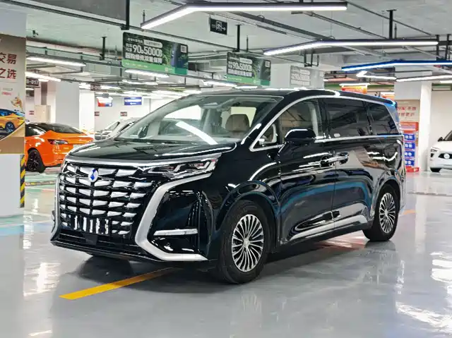 2023 Denza D9