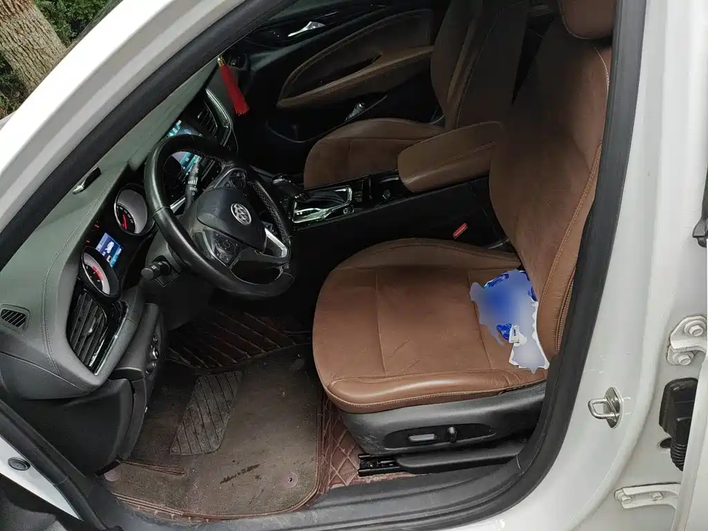 Buick Regal — миниатюра 12