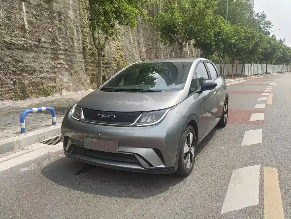 BYD Dolphin