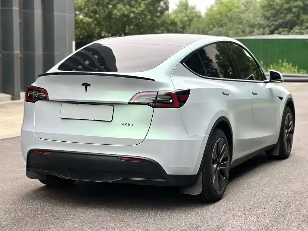 Tesla Model Y — миниатюра 4