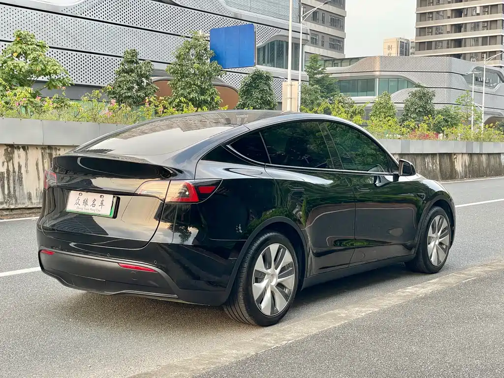 Tesla Model Y — миниатюра 7