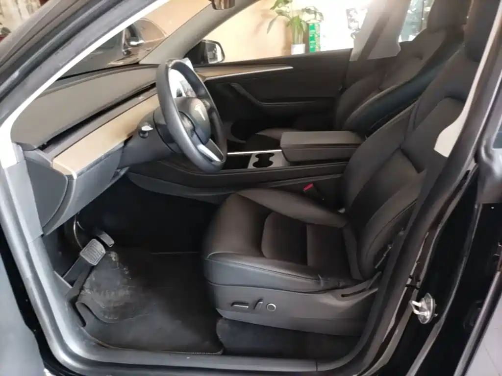 Tesla Model Y — миниатюра 15