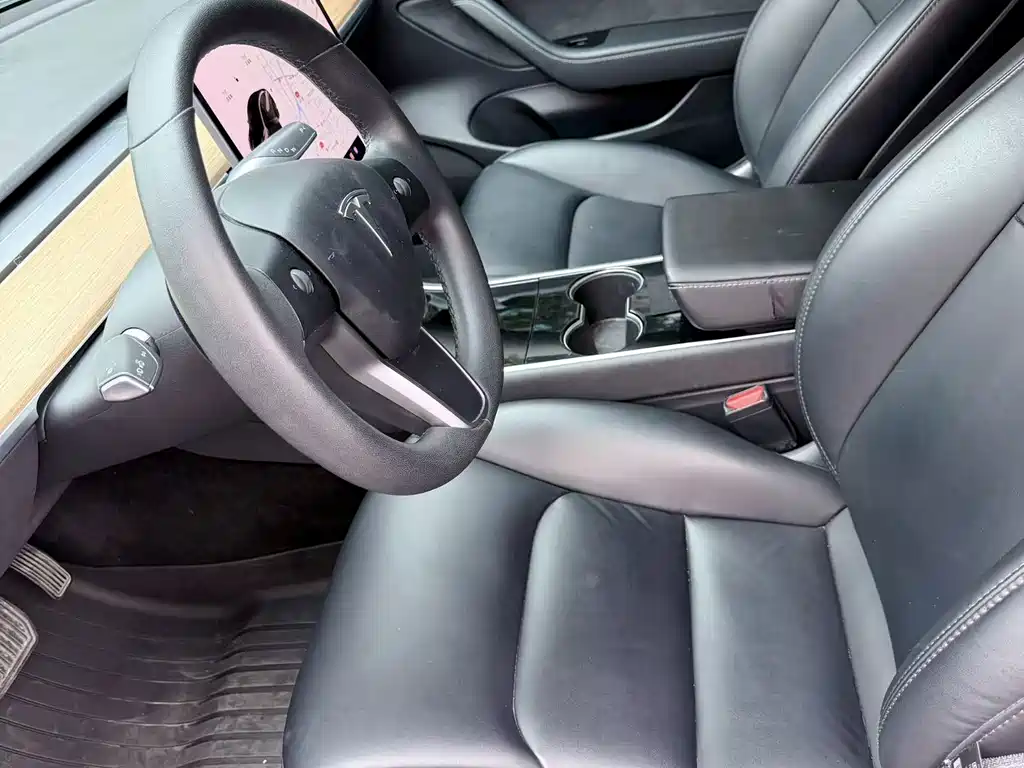 Tesla Model 3 — миниатюра 4