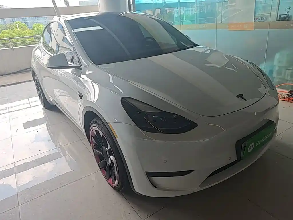 Tesla Model Y — миниатюра 4