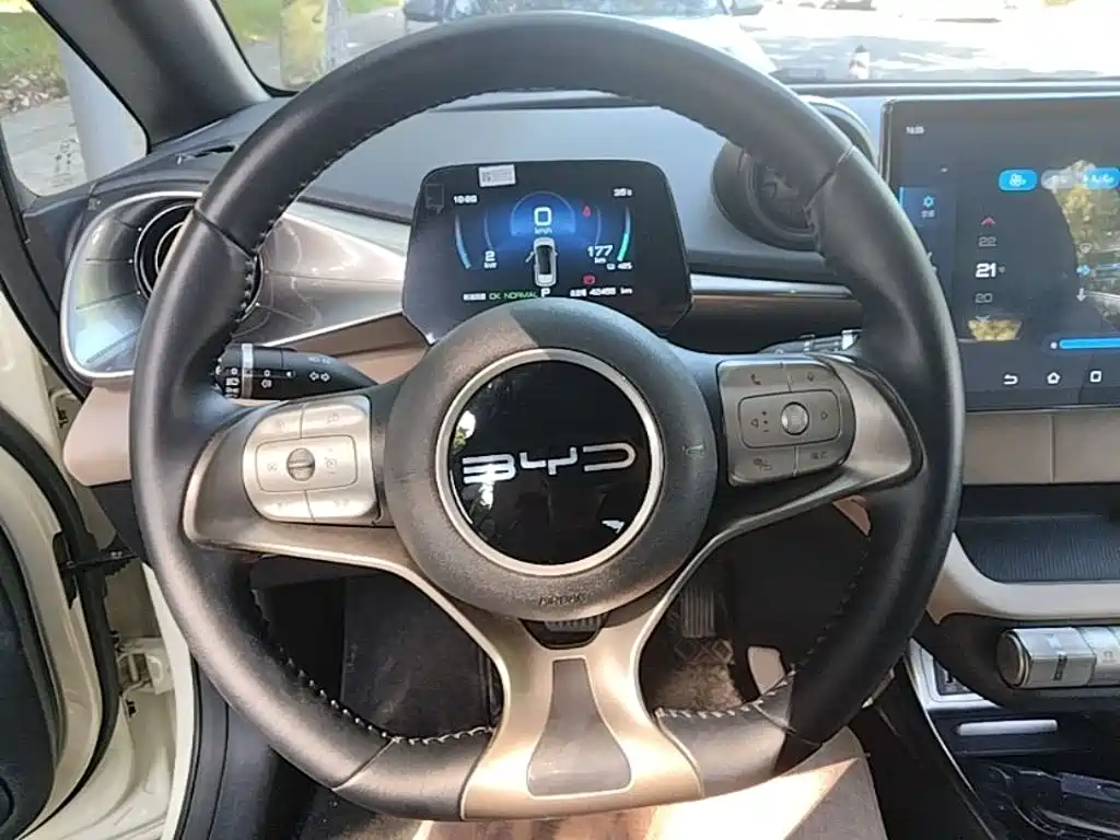 BYD Dolphin — миниатюра 11