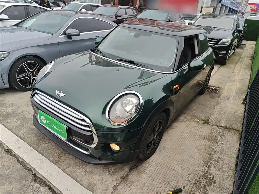 Mini Mini 2015
