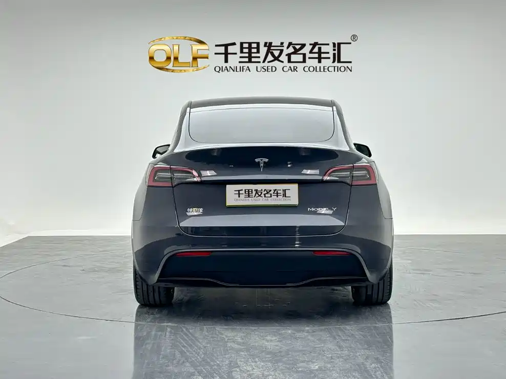 Tesla Model Y — миниатюра 6