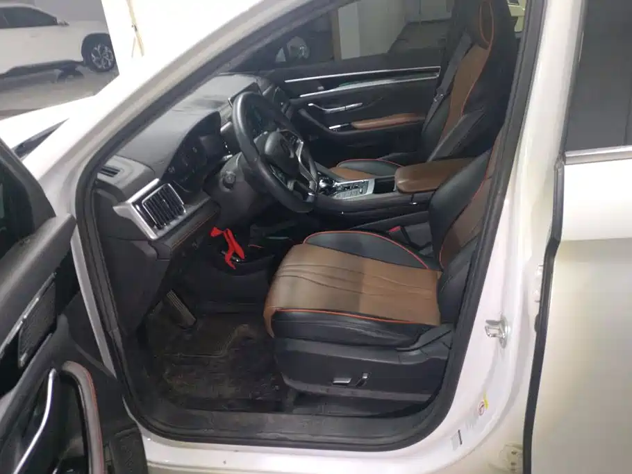 BYD PLUS — миниатюра 9