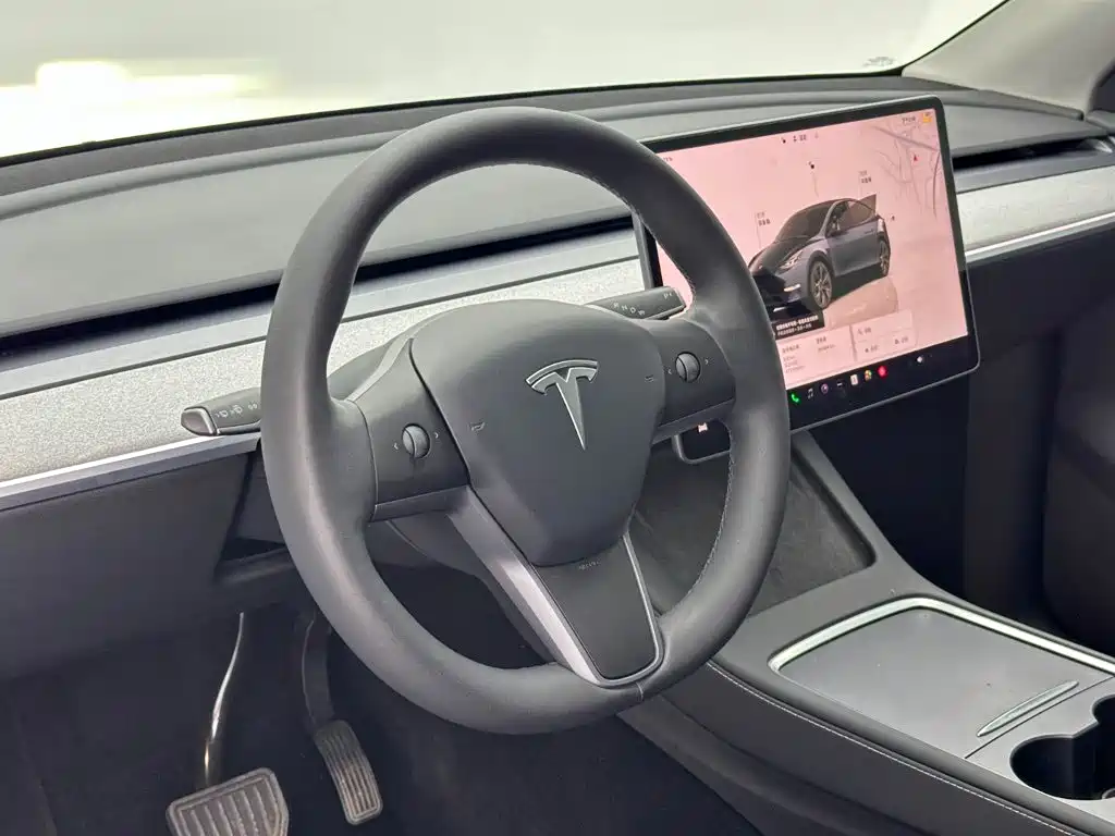 Tesla Model Y — миниатюра 15