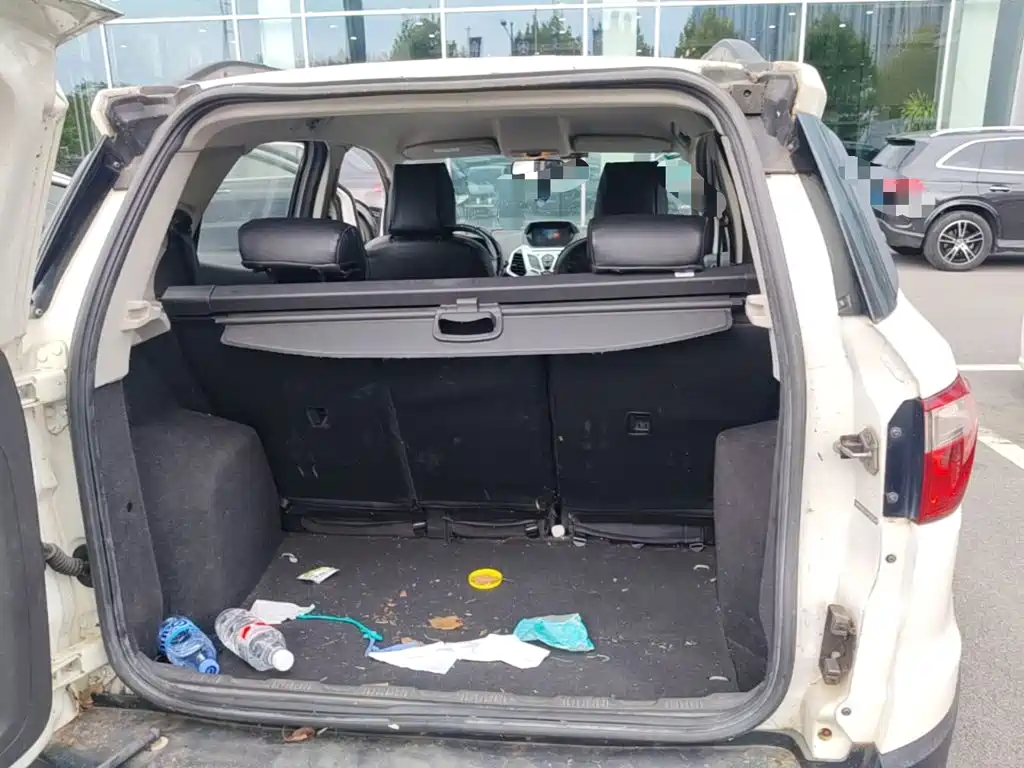 Ford Ecosport — миниатюра 19